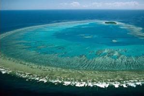Czy zagłada Wielkiej Rafy Koralowej jest nieunikniona?