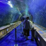 Oceanografic - Tunele podwodne w Oceanarium w Walencji